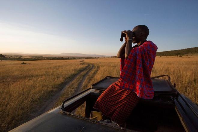 One-Day Maasai Mara Safari Adventure by Road