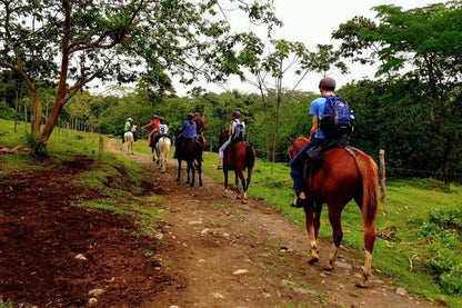 Private Arenal Volcano Horseback Adventure and Baldi Hot Springs Experience