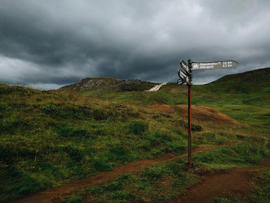 Reykjadalur Valley and Kleifarvatn Lake Geothermal Hiking Adventure