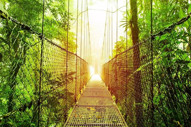 Arenal Volcano Adventure: Private Tour of Hanging Bridges and Baldi Hot Springs from San Jose