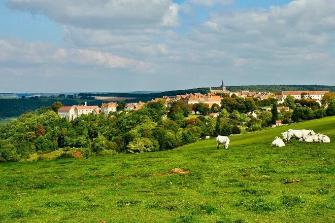 Exclusive Burgundy Wine Tasting Tour: 3 Domaines, Chateau Pommard, Chablis & 15 Varieties - Day Trip from Paris