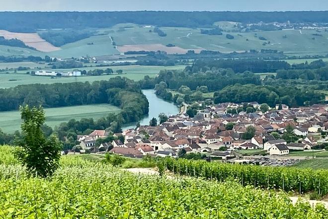 Exclusive Guided Tours and Tastings at Champagne Boizel and Pommery Cellars