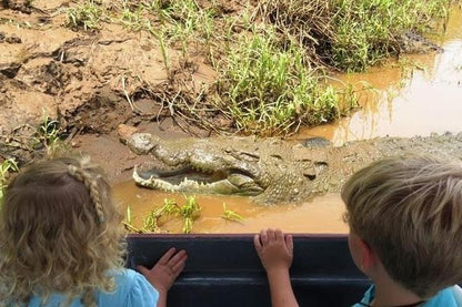 Crocodile Safari & Beach Exploration: A Thrilling Day Tour from San Jose to Jaco