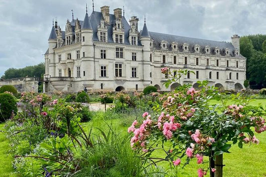 7-Day Exclusive Normandy D-Day Beaches, Majestic Castles & Burgundy Wine Tour from Paris