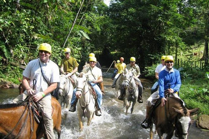 Private Arenal Volcano Horseback Adventure and Baldi Hot Springs Experience