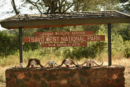 4-Day Safari Adventure: From Diani to Tsavo West, Amboseli, and Tsavo East