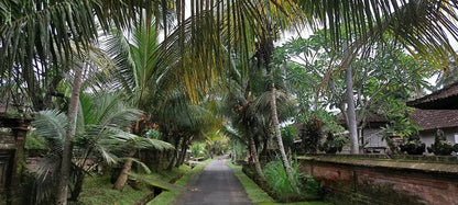 Bali Countryside Immersion: Private Full-Day Rural Life and Village Trekking Adventure