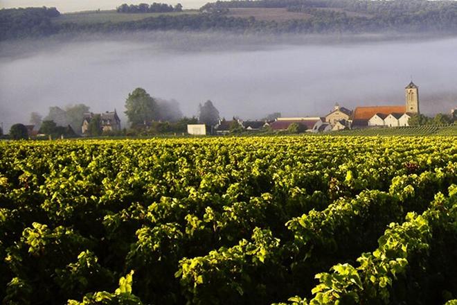 Burgundy and Provence Wine Tasting: 7-Day Small Group Tour Including Nice and Monaco