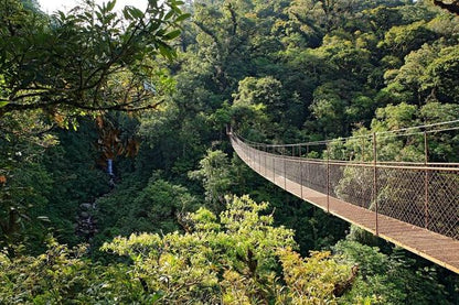 Arenal Volcano Adventure: Private Tour of Hanging Bridges and Baldi Hot Springs from San Jose