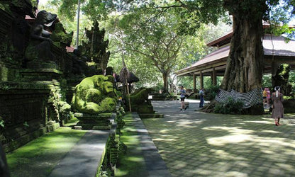 Discover Ubud: Exclusive Half-Day Private Tour