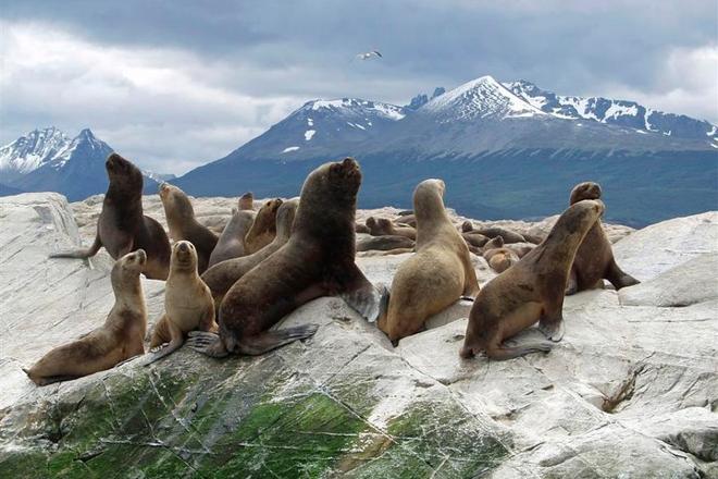 Four-Day Ushuaia Adventure for Nature Enthusiasts