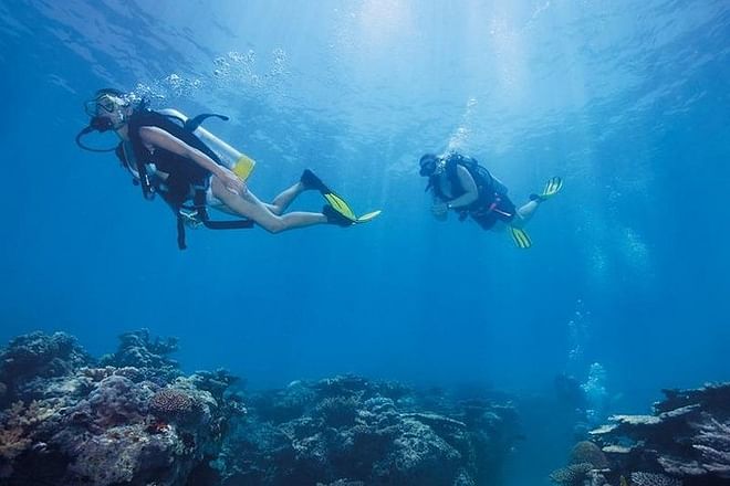 Scuba Diving Adventure from Kusadasi or Selcuk: Explore Underwater Wonders