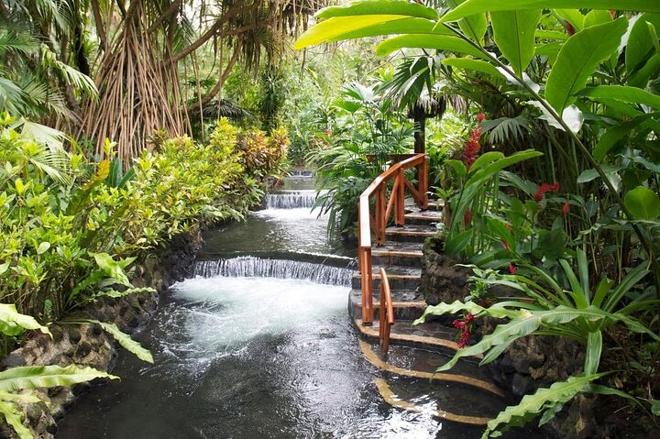 Arenal Hanging Bridges and Tabacon Hot Springs Day Tour from San Jose