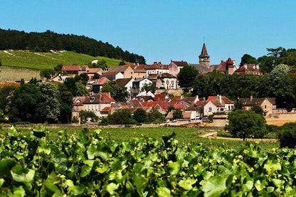 Private 5-Day Tour: Paris, Burgundy, Provence, and Nice with Expert Guide