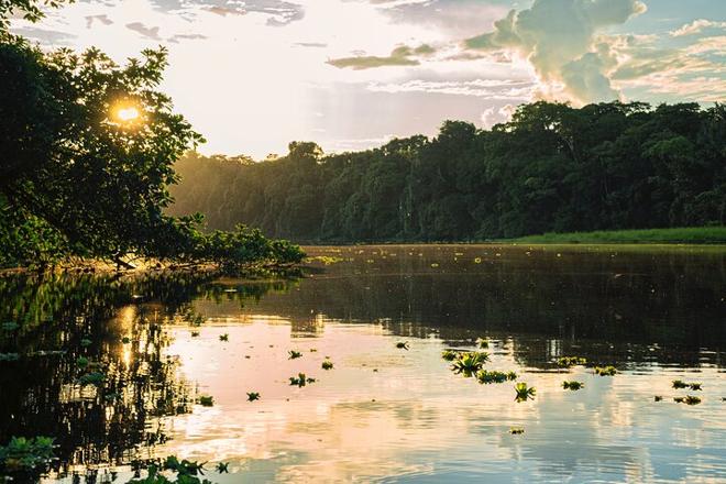 5-Day, 4-Night Amazon Jungle Adventure at Mamori Lodge