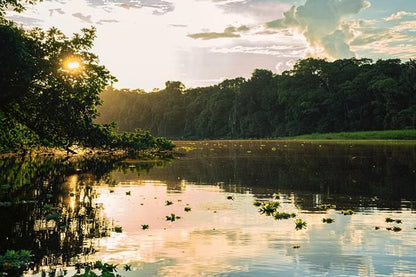 5-Day, 4-Night Amazon Jungle Adventure at Mamori Lodge