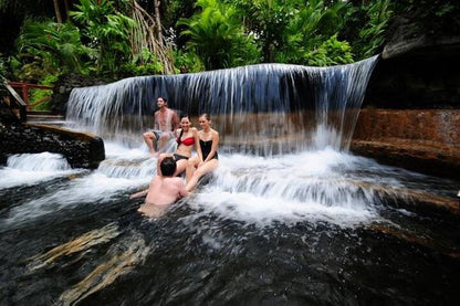 Arenal Hanging Bridges and Tabacon Hot Springs Day Tour from San Jose