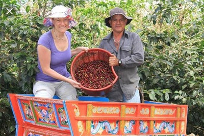 Private Doka Estate Coffee Tour with Grecia and Sarchi Oxcart Factory Visit