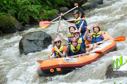 Ubud, Bali Exclusive Private White Water Rafting Adventure with Shuttle Service