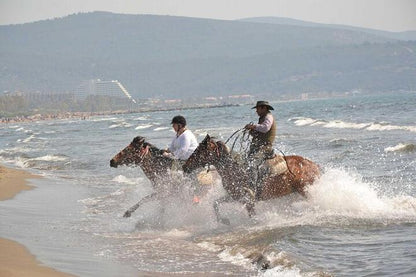 Kusadasi Horseback Riding Adventure: Tours from Port and Hotels