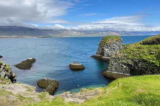 Explore Snæfellsnes in Spanish: Farm Lunch and Minibus Tour