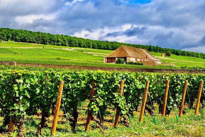 Private 5-Day Tour: Paris, Burgundy, Provence, and Nice with Expert Guide