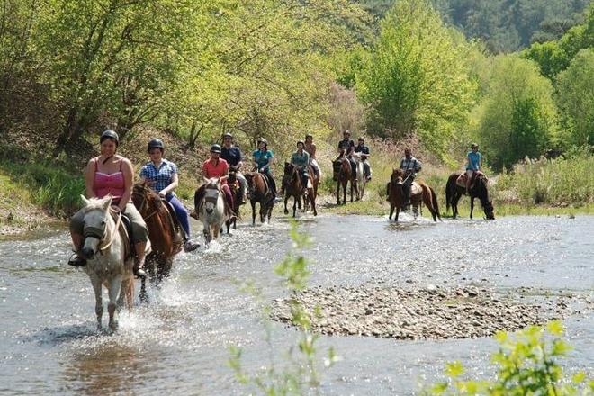 Kusadasi Horseback Riding Adventure: Tours from Port and Hotels