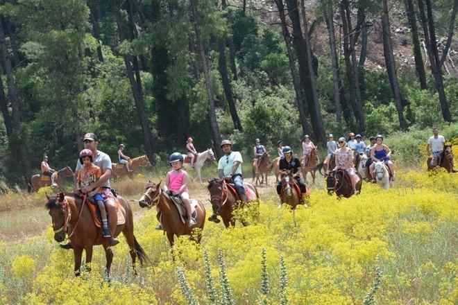 Kusadasi Horseback Riding Adventure: Tours from Port and Hotels