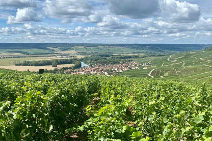 Small-Group Champagne Tour from Paris: Discover Mercier, Le Gallais, & Pressoria