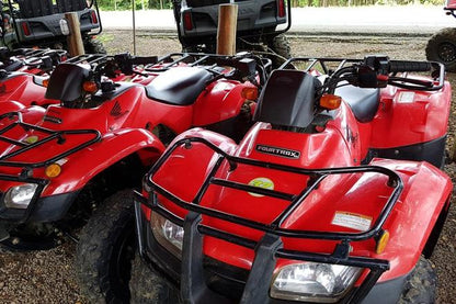 Private ATV Jungle and River Adventure Tour from San Jose