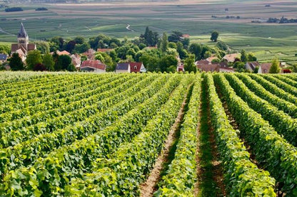 Small-Group Champagne Tour from Paris: Discover Mercier, Le Gallais, & Pressoria