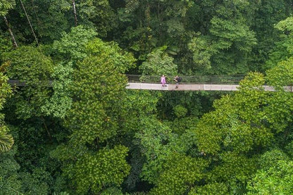 Arenal Volcano Adventure: Private Tour of Hanging Bridges and Baldi Hot Springs from San Jose