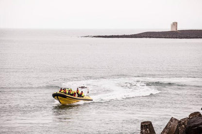 Downtown Reykjavik RIB Speedboat Tour: Whale and Puffin Watching Experience