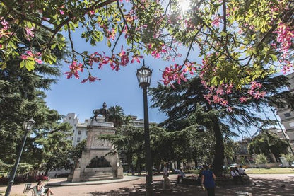 Full-Day Exclusive Tour from Buenos Aires to Montevideo