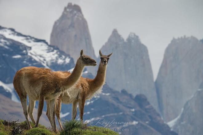 Explore the Pearls of Argentina and Chilean Patagonia: A 5-Day Adventure