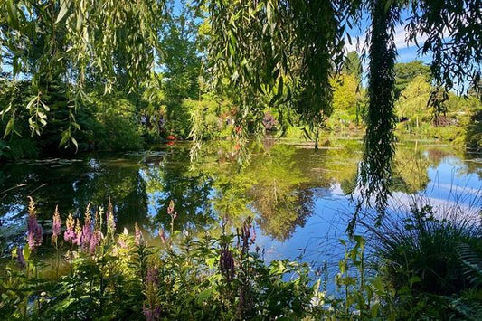 Private Half-Day Giverny Tour from Paris with Optional Lunch - Mercedes Transport