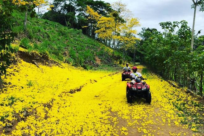 Private ATV Jungle and River Adventure Tour from San Jose