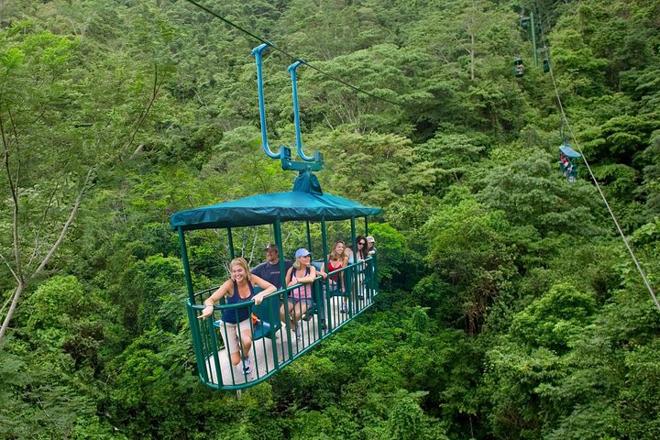 Private Triple Experience Eco Tour: Rainforest Aerial Tram, River Cruise & Nature Walk