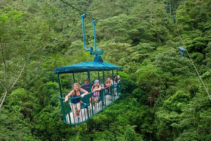 Private Triple Experience Eco Tour: Rainforest Aerial Tram, River Cruise & Nature Walk