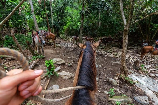 Private Arenal Volcano Horseback Adventure and Baldi Hot Springs Experience