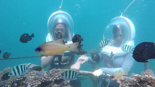 Experience the Underwater Sea Walking Adventure in Nusa Dua