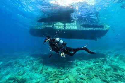 Scuba Diving Adventure from Kusadasi or Selcuk: Explore Underwater Wonders