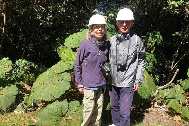 Private Half-Day Tour to Poas Volcano National Park