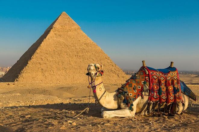 8-Day Nile Cruise Adventure: Exploring Cairo, Aswan & Luxor