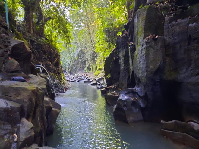 Bali Adventure: Exciting ATV Quad Bike Ride