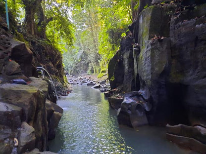 Bali Adventure: Exciting ATV Quad Bike Ride