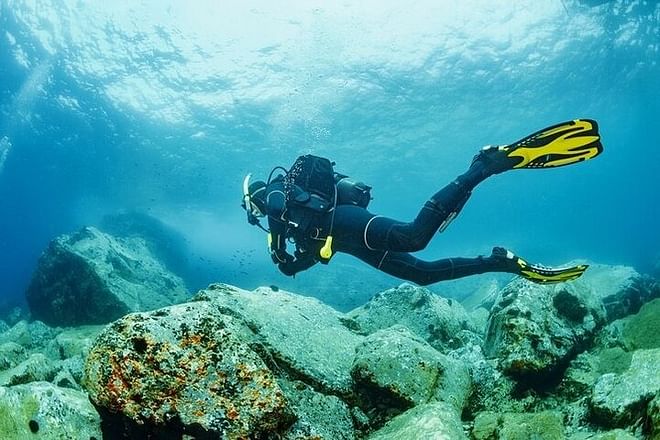 Scuba Diving Adventure from Kusadasi or Selcuk: Explore Underwater Wonders