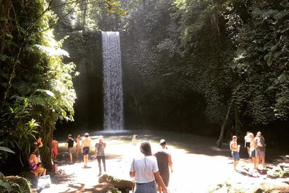 Discover Bali's Stunning Waterfalls: A Full-Day Private Guided Adventure