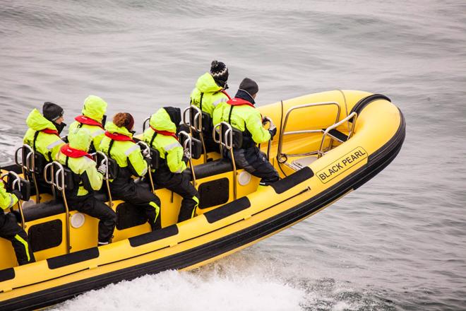 Downtown Reykjavik RIB Speedboat Tour: Whale and Puffin Watching Experience