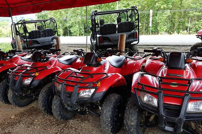 Private ATV Jungle and River Adventure Tour from San Jose